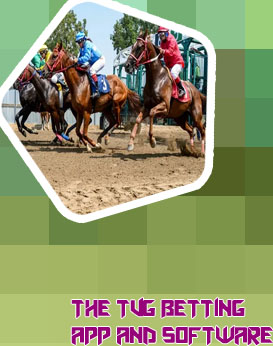 Tvg horse racing app